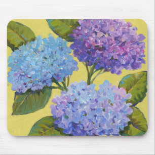 Vår Hydrangeus I Musmatta