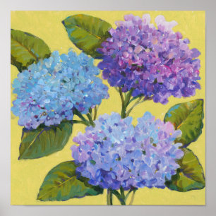 Vår Hydrangeus I Poster