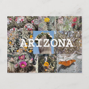 Vår i Arizona vykort