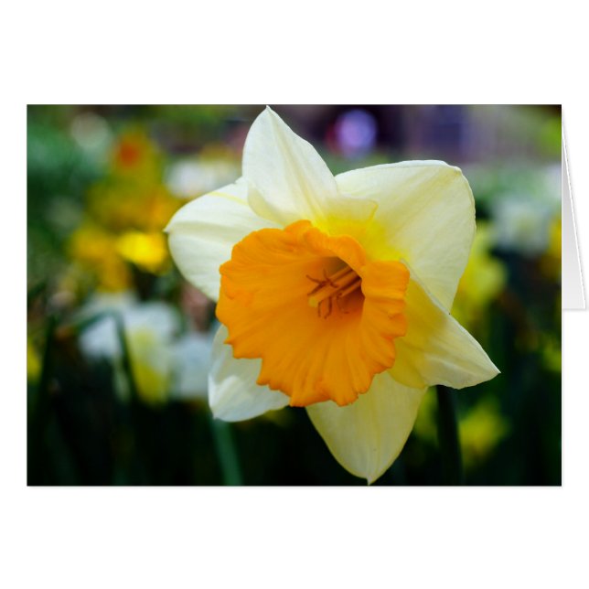 Vår i Beauty Hälsningskort (Framsidan Horizontal)