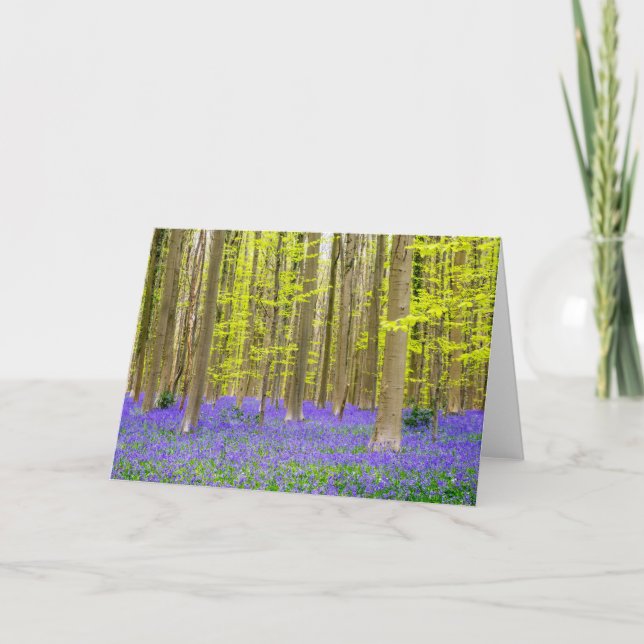Vår i Blå skogen Kort (Framsida)