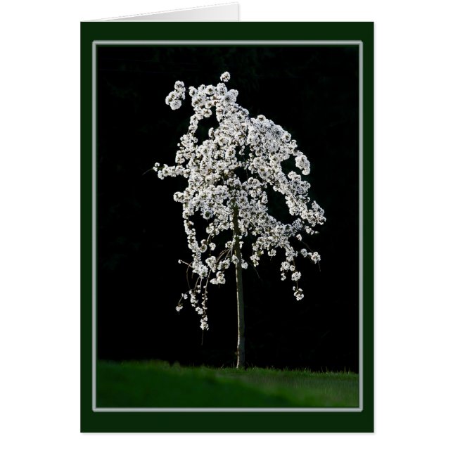 Vår i Bloom Hälsningskort (Framsidan)