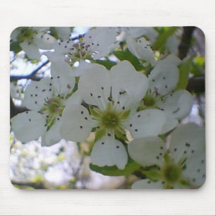 Vår i Bloom Musmatta