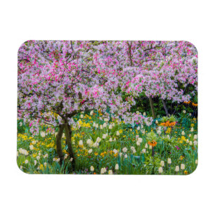 Vår i Claude Monets trädgård Magnet