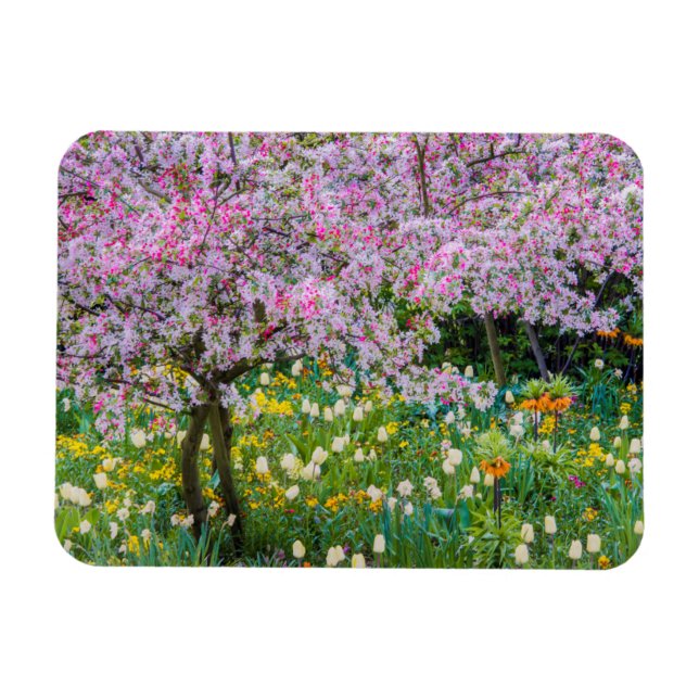Vår i Claude Monets trädgård Magnet (Horisontell)