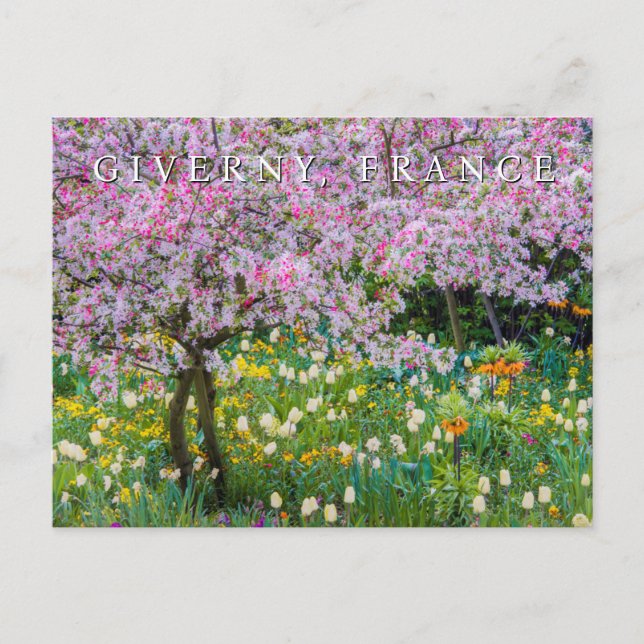 Vår i Claude Monets trädgård Vykort (Framsida)