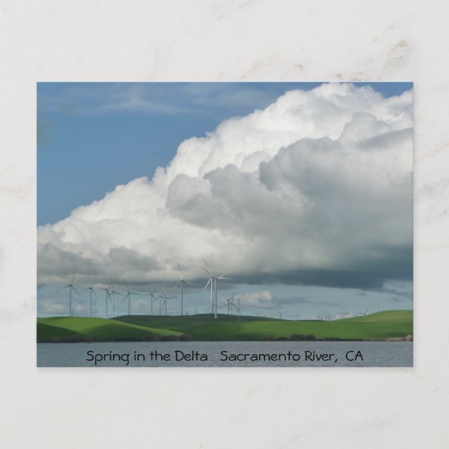 Vår i deltan vykort (Framsida)