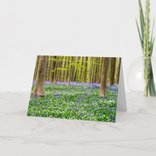 Vår i den blå skogen kort