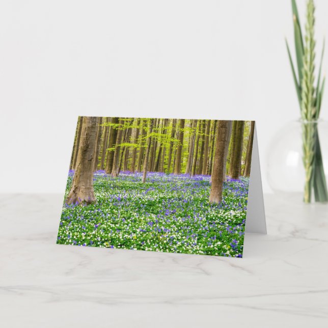 Vår i den blå skogen kort (Framsida)