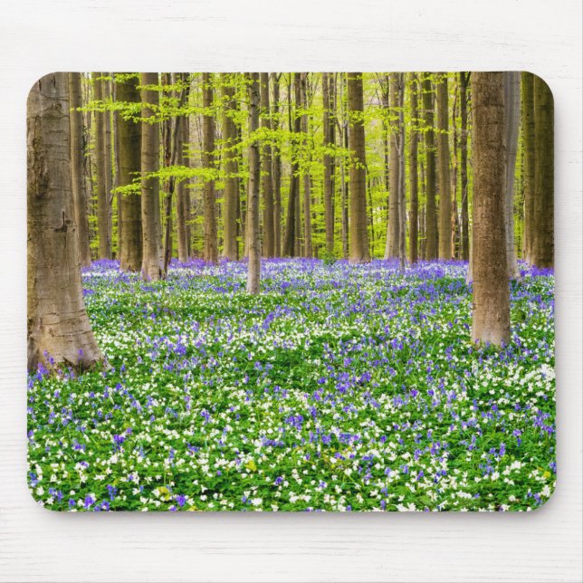 Vår i den blå skogen musmatta (Framsidan)