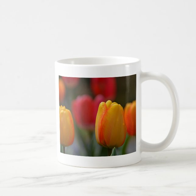 Vår i färger kaffemugg (Höger)