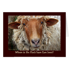 Var i Flock har Ewe varit? Hälsningskort
