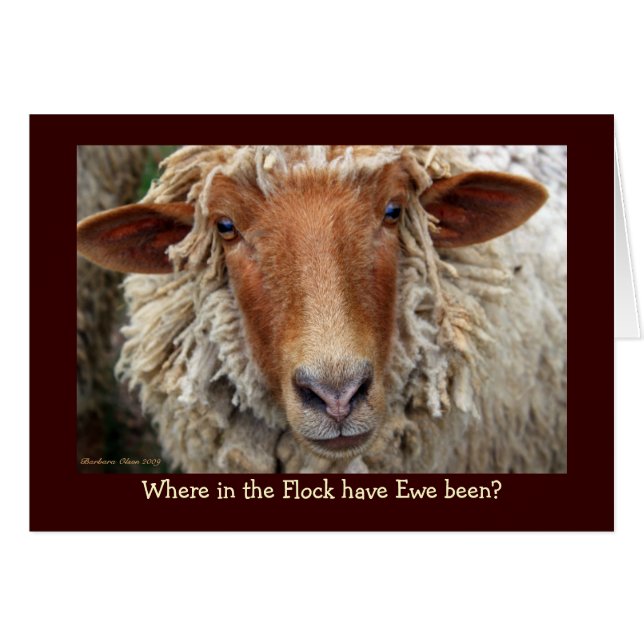 Var i Flock har Ewe varit? Hälsningskort (Framsidan Horizontal)