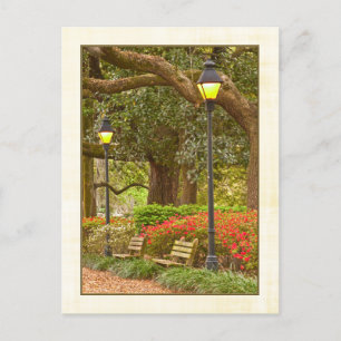 Vår i Forsyth Park - Savannah, GA Vykort