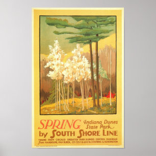 Vår i Indiana Dunes nationalpark Poster