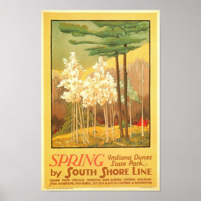 Vår i Indiana Dunes nationalpark Poster (Framsidan)