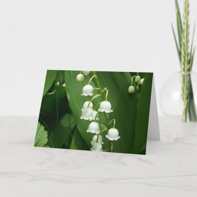 Vår i Maine Kort (Framsida)