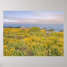 Vår i Monterey Poster