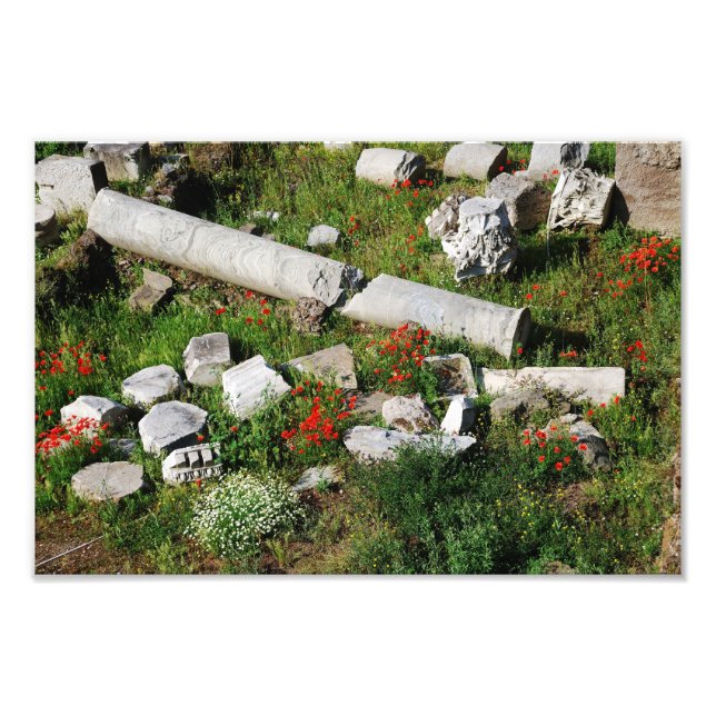 Vår i Rom Photo Fototryck (Framsidan)