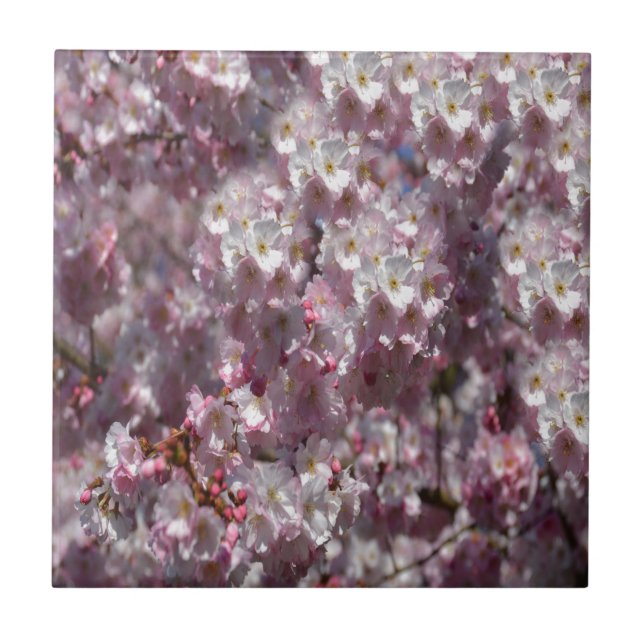 VÅR i ROSA Kakelplatta (Framsidan)