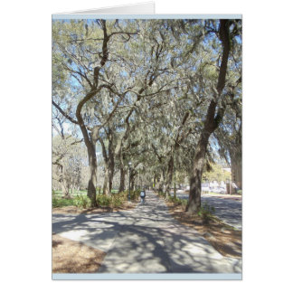 Vår i Savannah OBS Kort