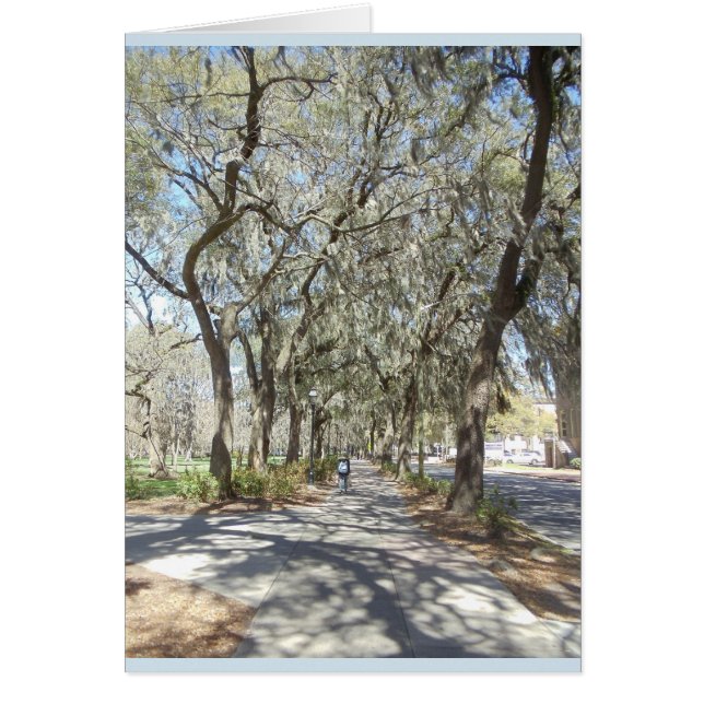 Vår i Savannah OBS Kort (Framsidan)