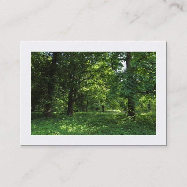 Vår i Skogen 01 (gränsad) Visitkort (Framsida)