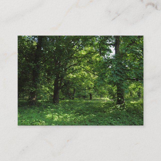 Vår i Skogen 01 Visitkort (Framsida)