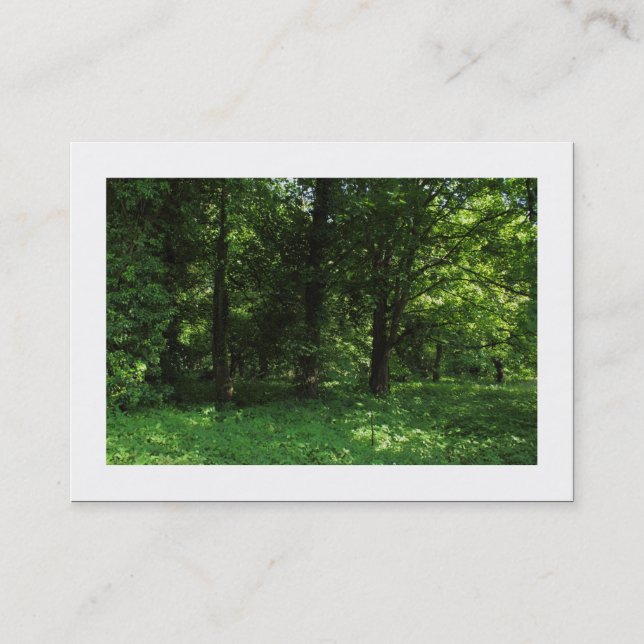 Vår i Skogen 02 (vid gränsen) Visitkort (Framsida)