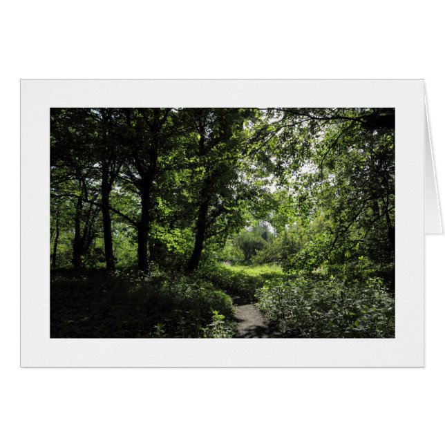 Vår i Skogen 03 (gränsad) Hälsningskort (Framsidan Horizontal)