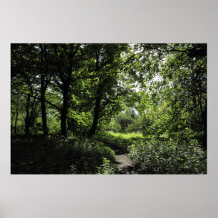 Vår i Skogen 03 Poster