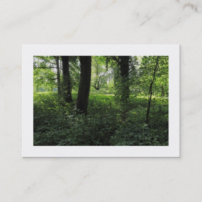 Vår i Skogen 04 (vid gränsen) Visitkort (Framsida)