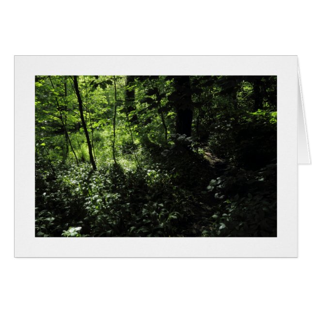 Vår i Skogen 05 (vid gränsen) Hälsningskort (Framsidan Horizontal)