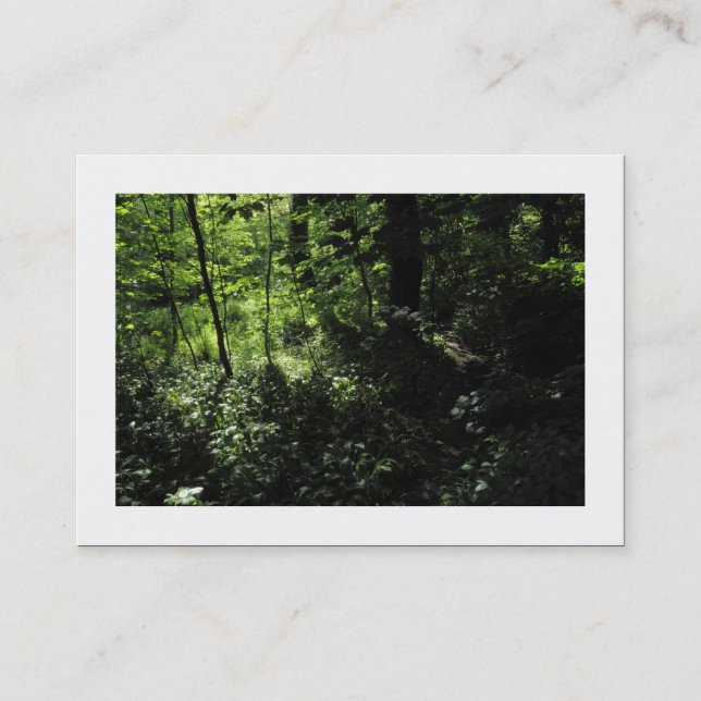 Vår i Skogen 05 (vid gränsen) Visitkort (Framsida)