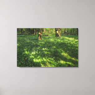 VÅR i SKOGEN Canvastryck