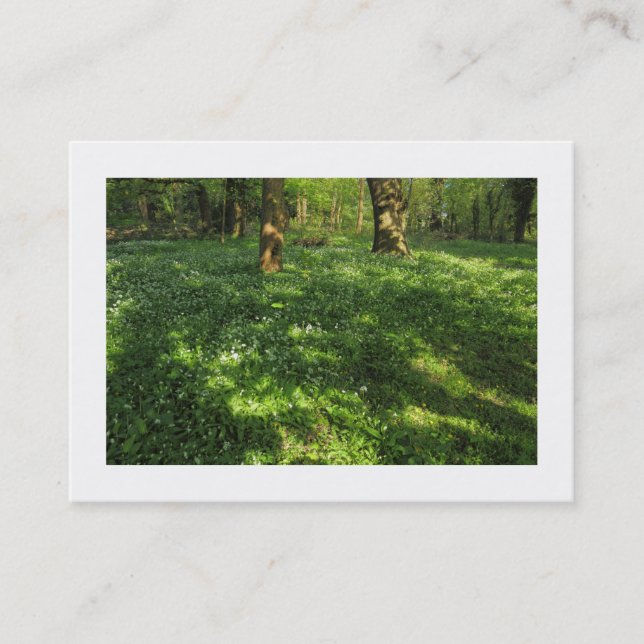 Vår i Skogen (vid gränsen) Visitkort (Framsida)