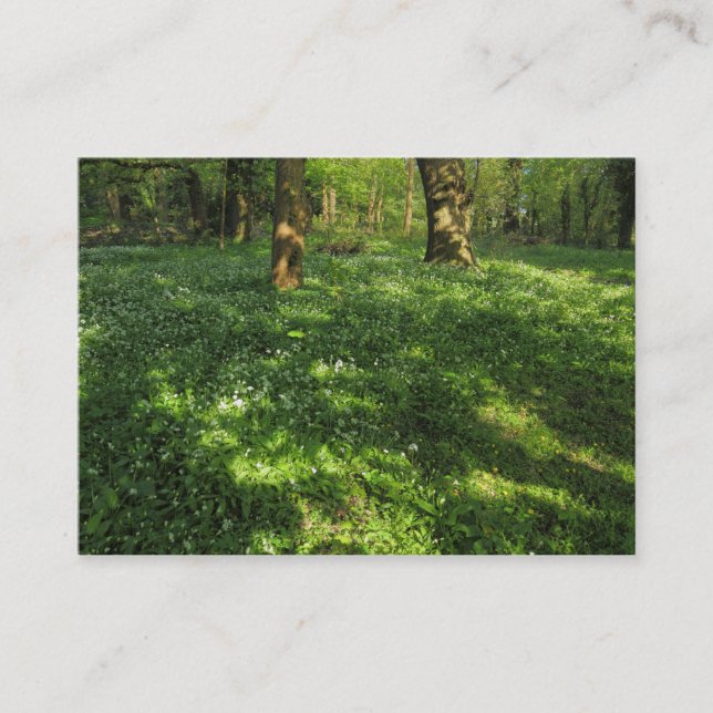 VÅR i SKOGEN Visitkort (Framsida)