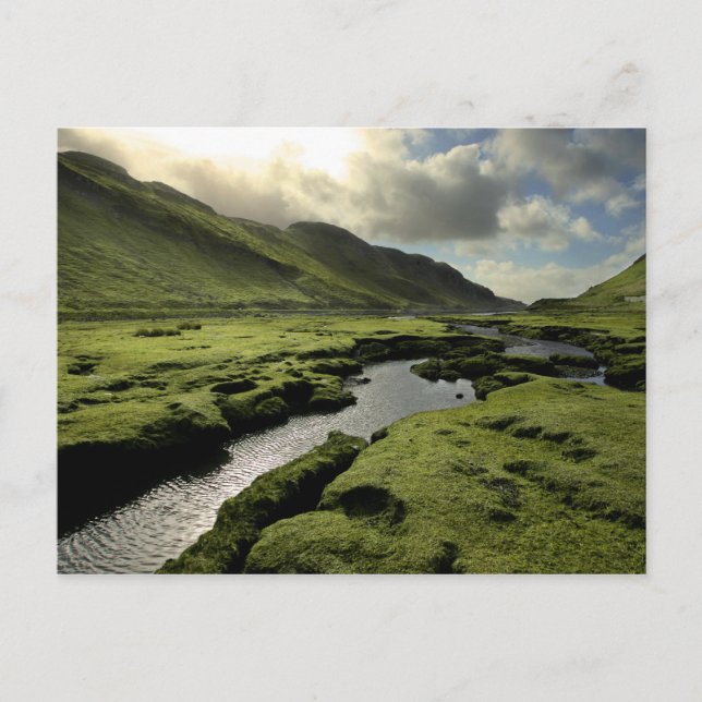 Vår i skotska högländer vykort (Framsida)