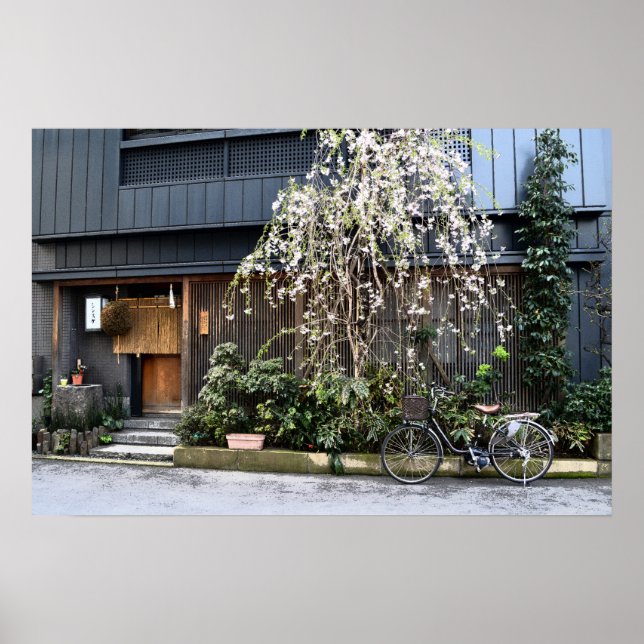 Vår i Tokyo Poster (Framsidan)
