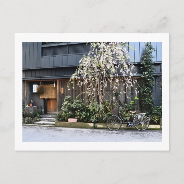 Vår i Tokyo Vykort (Framsida)