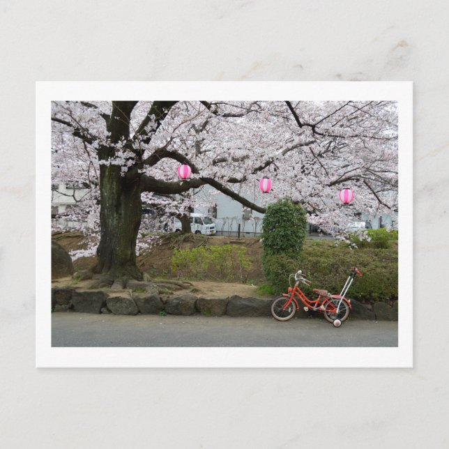 Vår i västra Tokyo Vykort (Framsida)