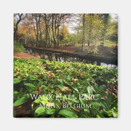 Vår i Waux Hall parc i Mons, Belgien Magnet
