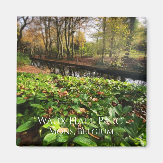 Vår i Waux Hall parc i Mons, Belgien Magnet (Framsidan)