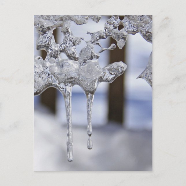 Vår Icicles Vykort (Framsida)