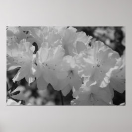 Vår III:s skönhet Poster