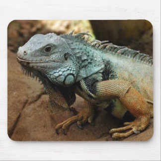 Var inte blått musmatta