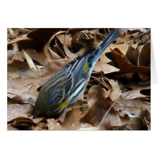 Var inte blyg! hälsningskort (Framsidan Horizontal)