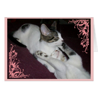 Var inte en främling hälsningskort