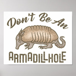 Var inte ett Armadillhole Funny Armadillo Animal Poster