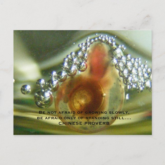 Var inte rädd av att växa långsamt, var… vykort (Framsida)